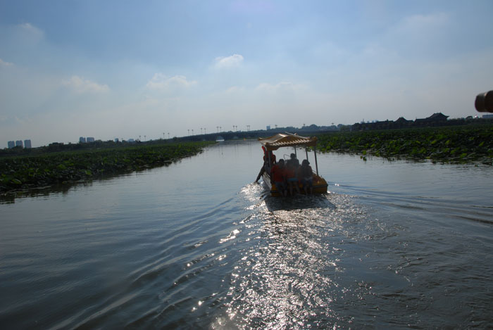 Ϧ�������ӭ�������ϰ�